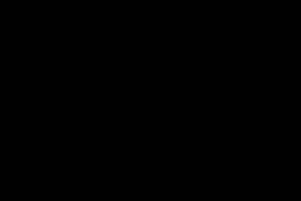 Фруктовая тарелка<br>